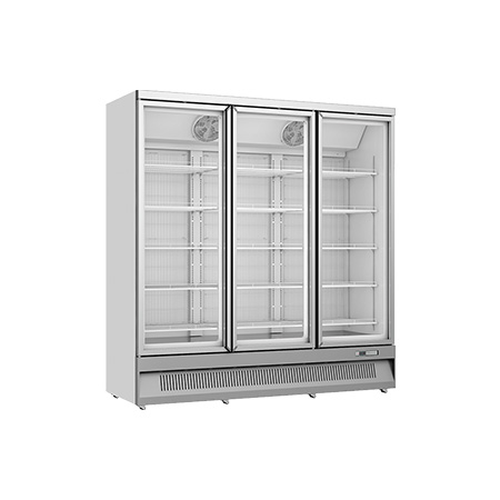 Neptune – Plug In Upright Display Freezer